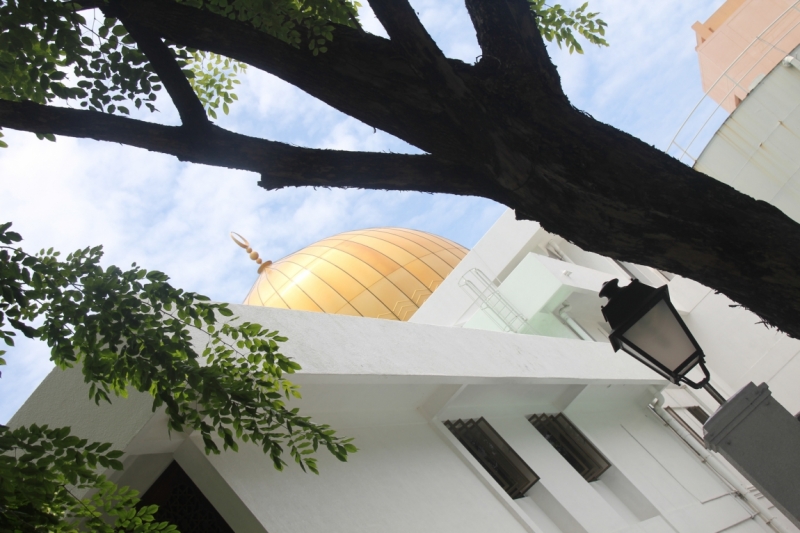 Medhupparu в сентябре 2014