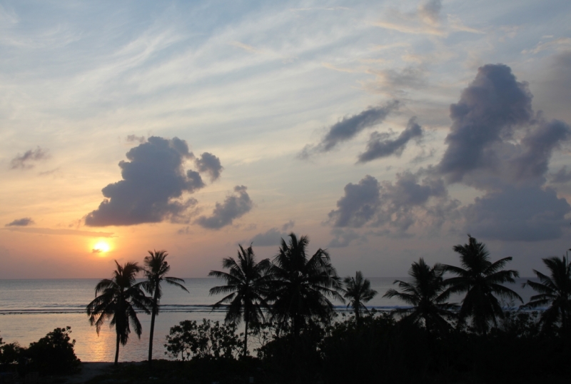 Medhupparu в сентябре 2014