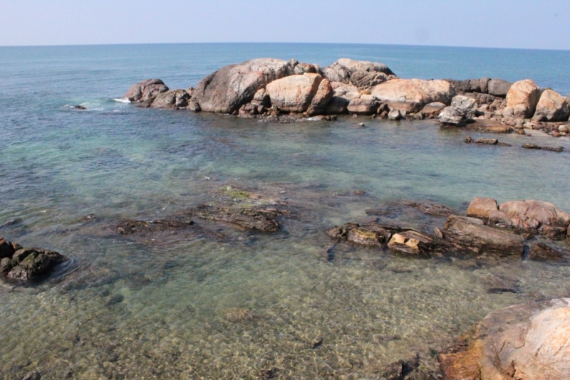 Шри-Ланка (Фев.2014): 2 рюкзака на автобусах