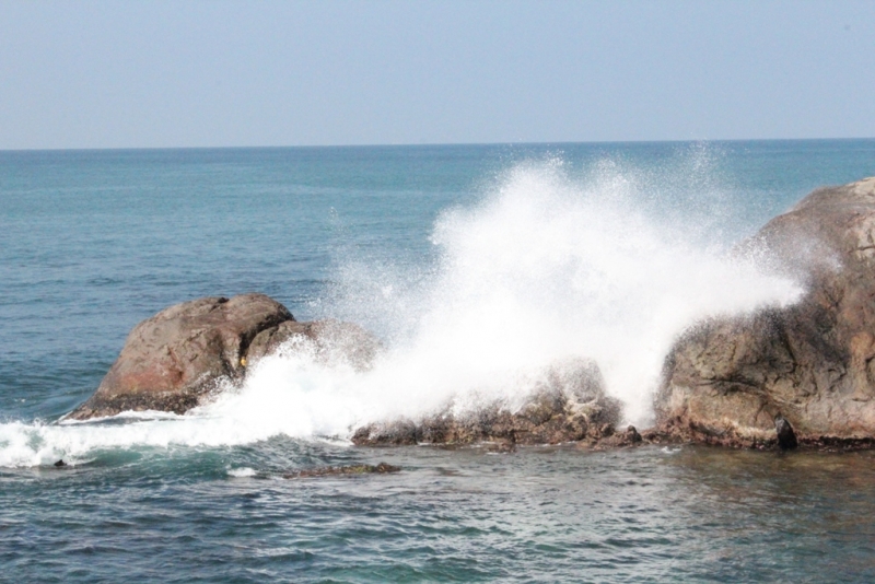 Шри-Ланка (Фев.2014): 2 рюкзака на автобусах