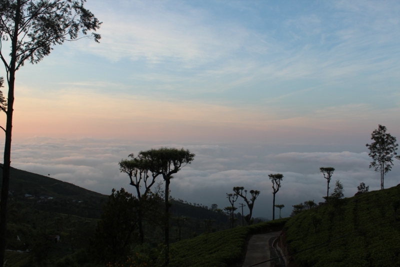 Шри-Ланка (Фев.2014): 2 рюкзака на автобусах