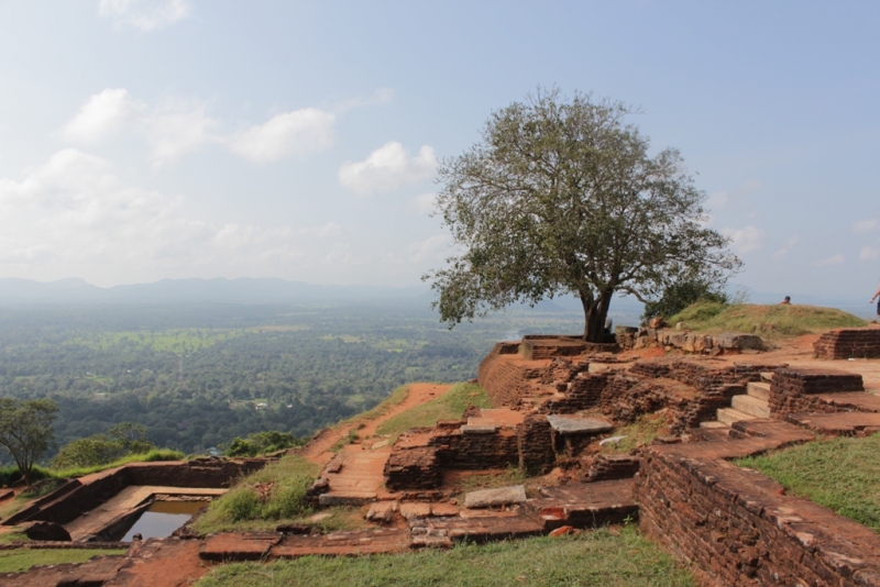 Шри-Ланка (Фев.2014): 2 рюкзака на автобусах