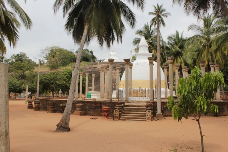 Шри-Ланка (Фев.2014): 2 рюкзака на автобусах