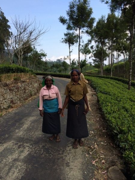 Шри-Ланка (Фев.2014): 2 рюкзака на автобусах