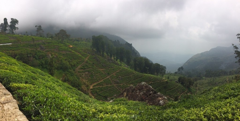 Шри-Ланка (Фев.2014): 2 рюкзака на автобусах