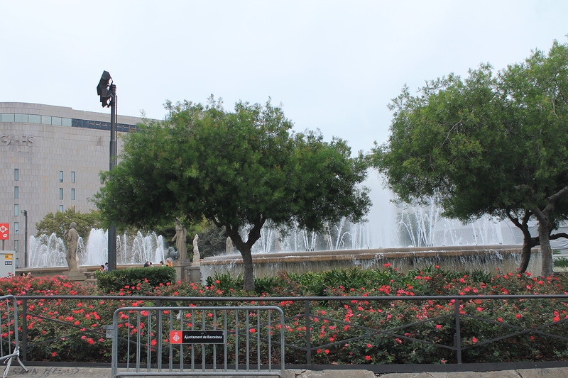 Чудесный круиз на Oasis of the seas c 23.09.14