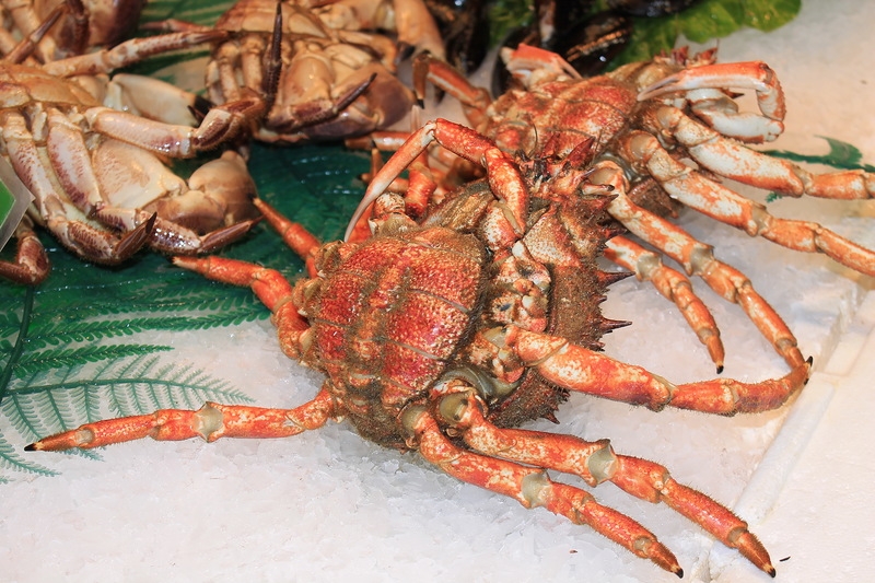 Чудесный круиз на Oasis of the seas c 23.09.14