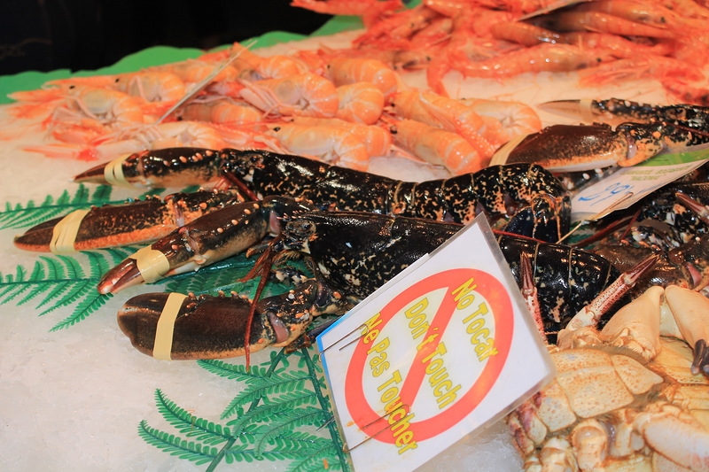 Чудесный круиз на Oasis of the seas c 23.09.14