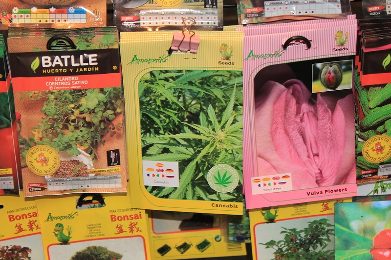 Чудесный круиз на Oasis of the seas c 23.09.14