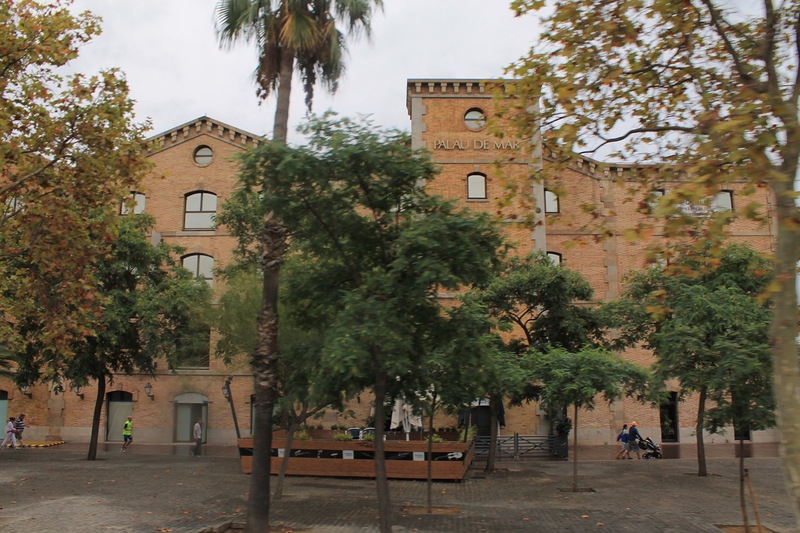 Чудесный круиз на Oasis of the seas c 23.09.14