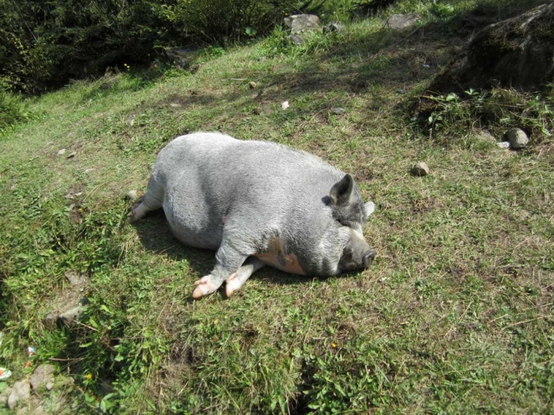 Во Львов через 38 лет