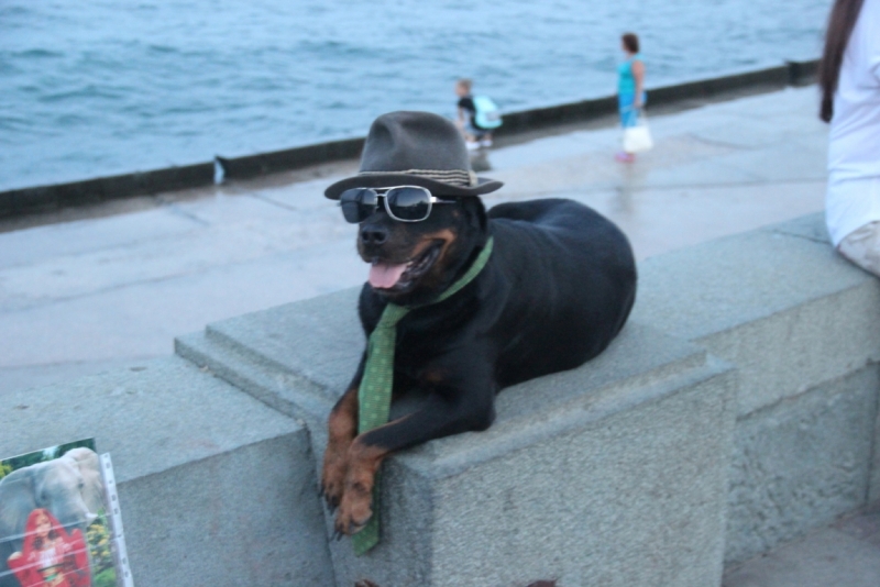 Две недели на ЮБК конец июля - начало августа 2014 или (Ялта - город счастья)