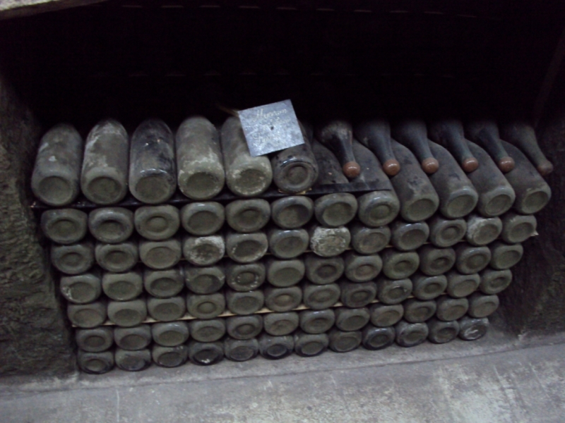 Две недели на ЮБК конец июля - начало августа 2014 или (Ялта - город счастья)