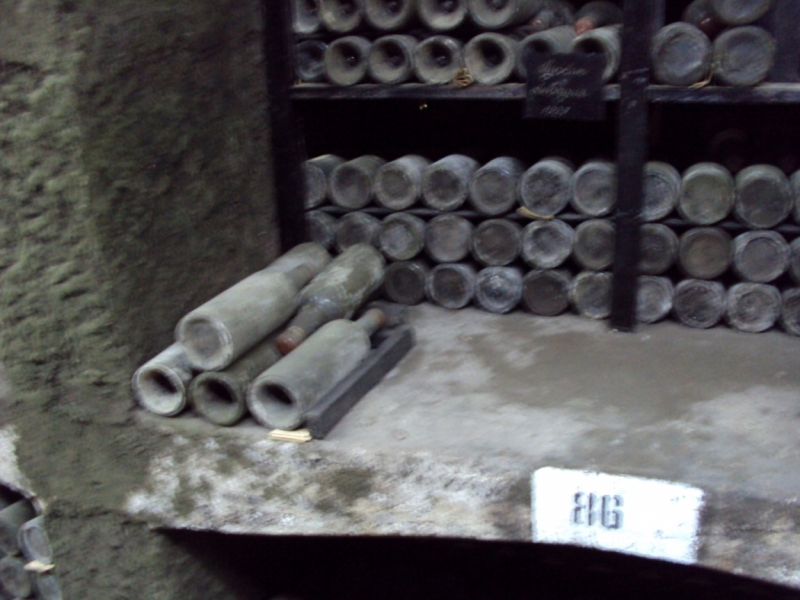 Две недели на ЮБК конец июля - начало августа 2014 или (Ялта - город счастья)