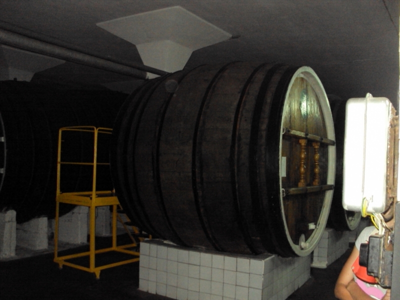 Две недели на ЮБК конец июля - начало августа 2014 или (Ялта - город счастья)