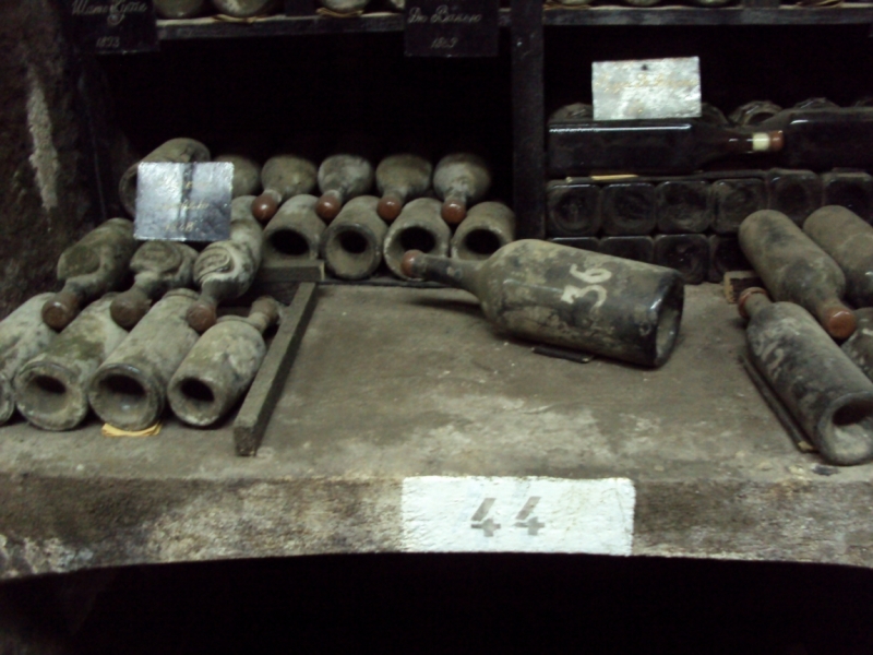 Две недели на ЮБК конец июля - начало августа 2014 или (Ялта - город счастья)