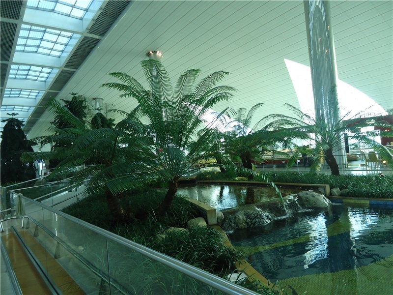 Небо, самолёт, стюардесса. Фото из путешествий - 2