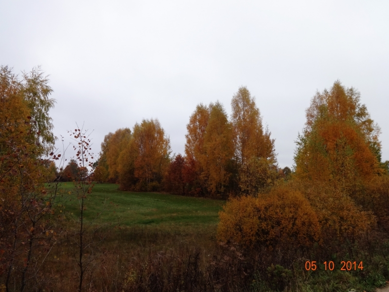 Осенними стежками – дорожками по Торжку и окрестностям (октябрь 2014)
