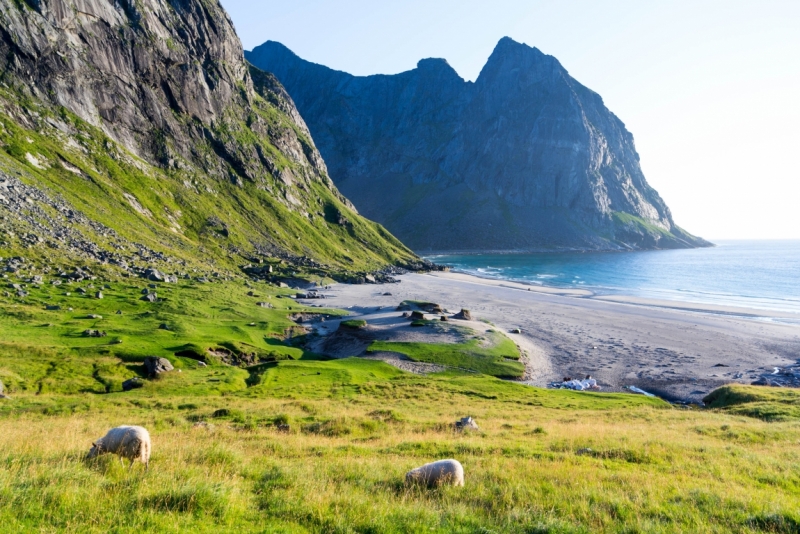 Explore islands of Nordland. Лофотены и Вестеролен. Август 2014.