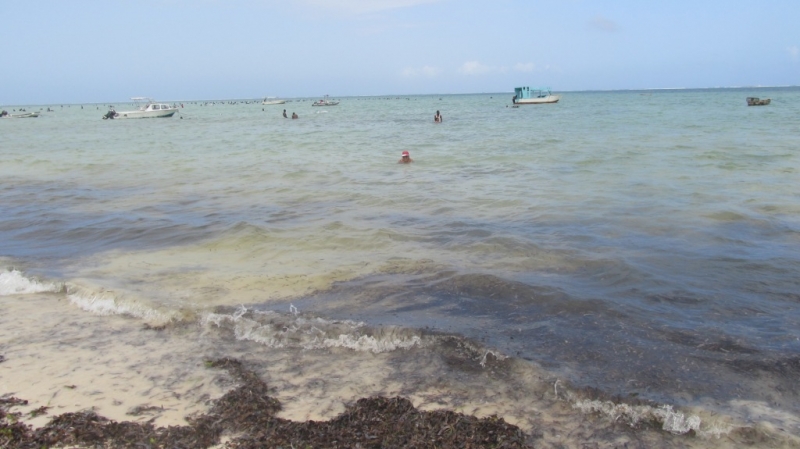 Кения глазами пенсионерки.