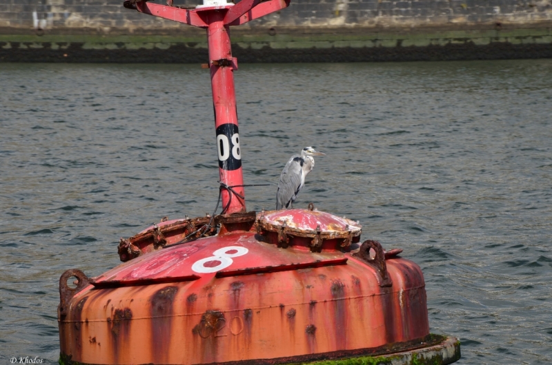 Впечатлениям вдогонку... - Португалия 2014