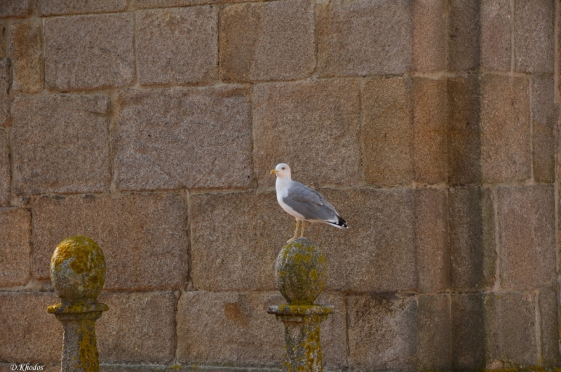 Впечатлениям вдогонку... - Португалия 2014