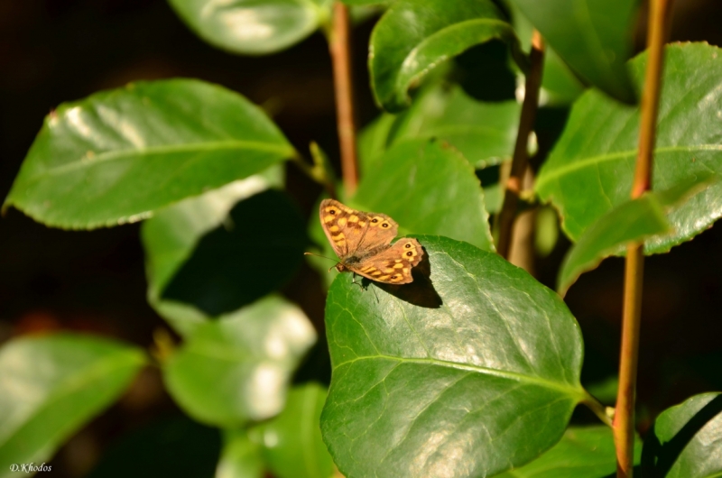 Впечатлениям вдогонку... - Португалия 2014