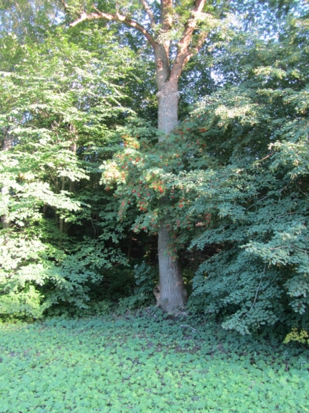 Таллин. Столица, где нет толп и пробок