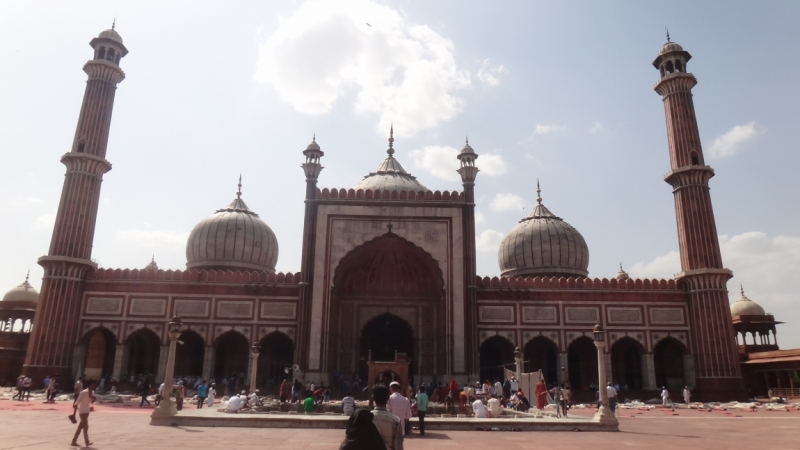 Экспресс-путешествие по северу Индии и Непалу (октябрь 2014)