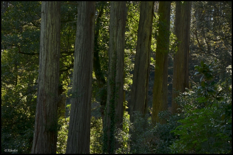 Впечатлениям вдогонку... - Португалия 2014