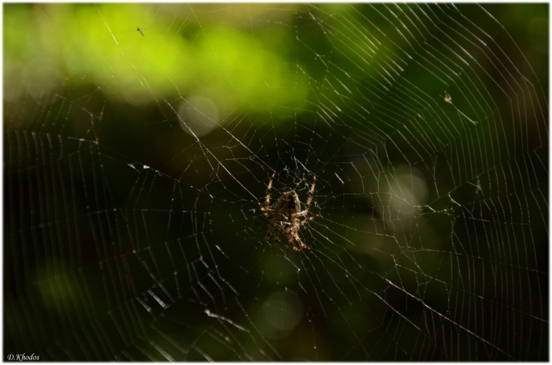 Впечатлениям вдогонку... - Португалия 2014