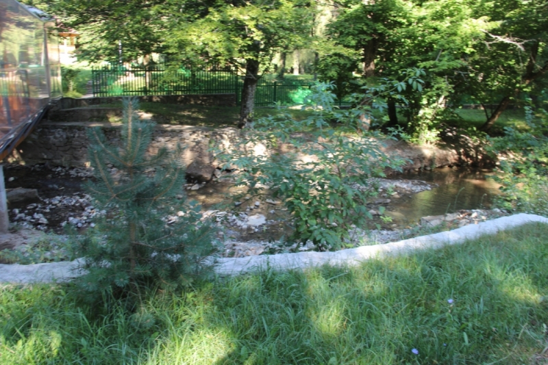 Две недели на ЮБК конец июля - начало августа 2014 или (Ялта - город счастья)