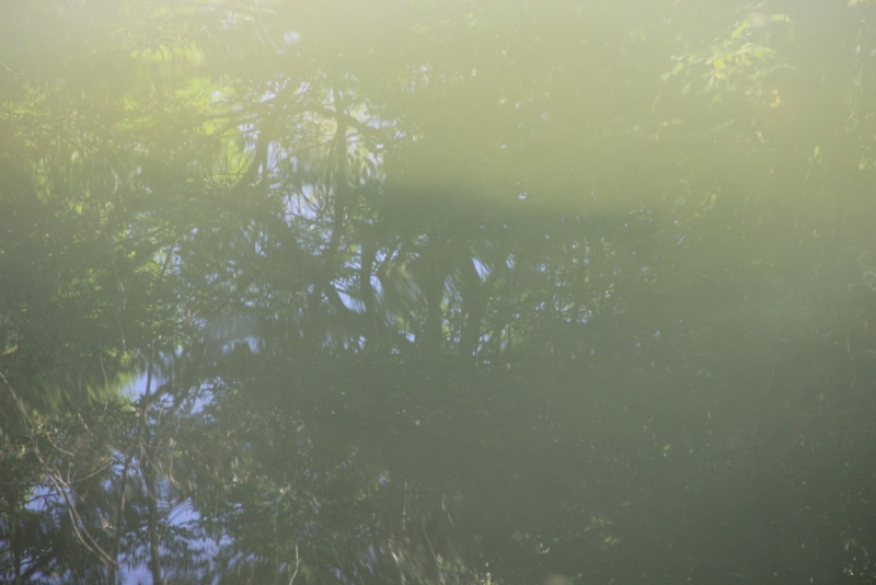 Две недели на ЮБК конец июля - начало августа 2014 или (Ялта - город счастья)