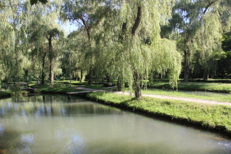 Две недели на ЮБК конец июля - начало августа 2014 или (Ялта - город счастья)