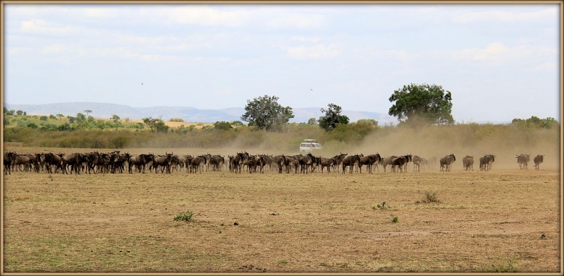Масаи-Мара