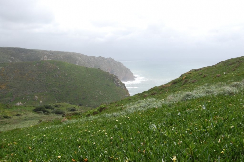 Португальские каникулы: Лиссабон, Синтра, Порту.