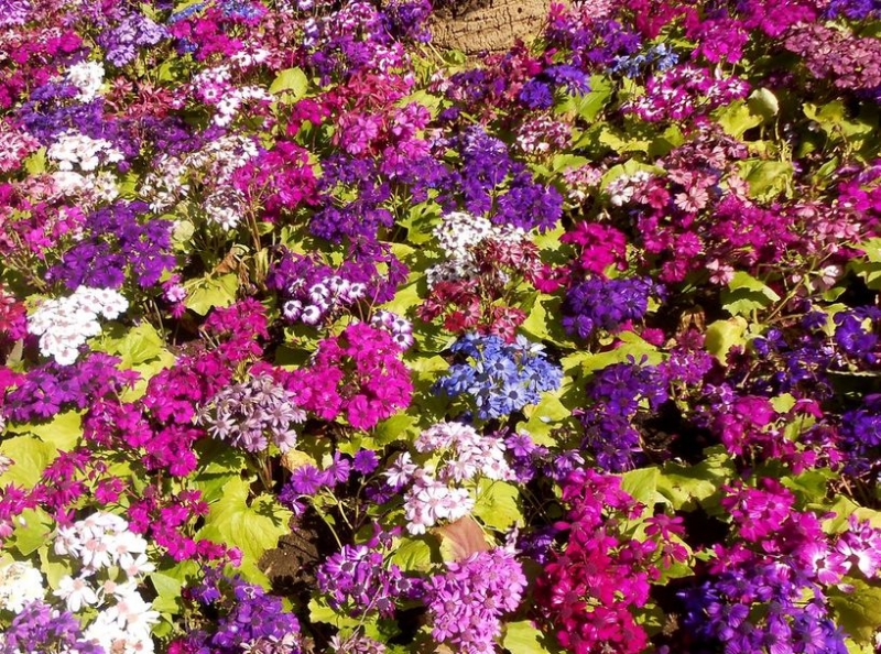 Португальские каникулы: Лиссабон, Синтра, Порту.