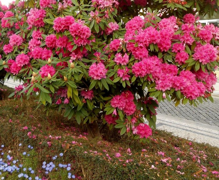 Португальские каникулы: Лиссабон, Синтра, Порту.