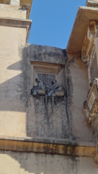 Экспресс-путешествие по северу Индии и Непалу (октябрь 2014)