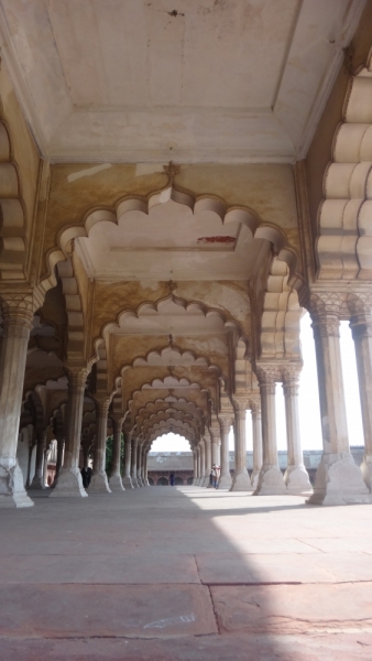 Экспресс-путешествие по северу Индии и Непалу (октябрь 2014)