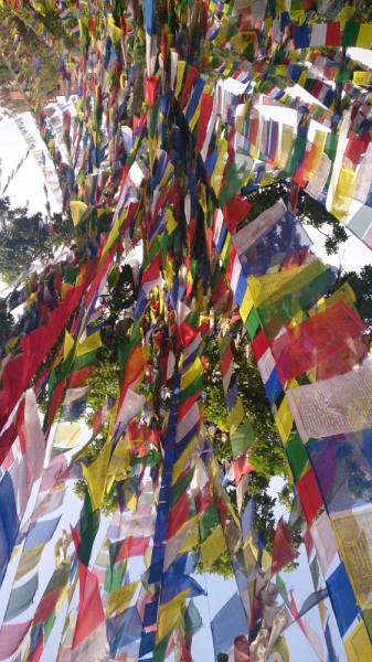 Экспресс-путешествие по северу Индии и Непалу (октябрь 2014)