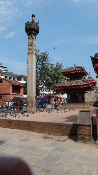 Экспресс-путешествие по северу Индии и Непалу (октябрь 2014)