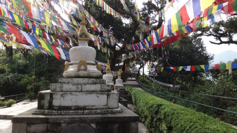 Экспресс-путешествие по северу Индии и Непалу (октябрь 2014)