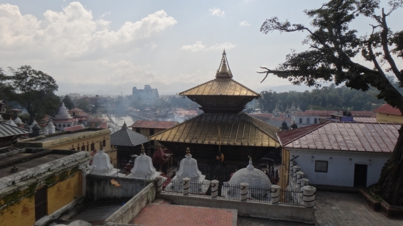 Экспресс-путешествие по северу Индии и Непалу (октябрь 2014)