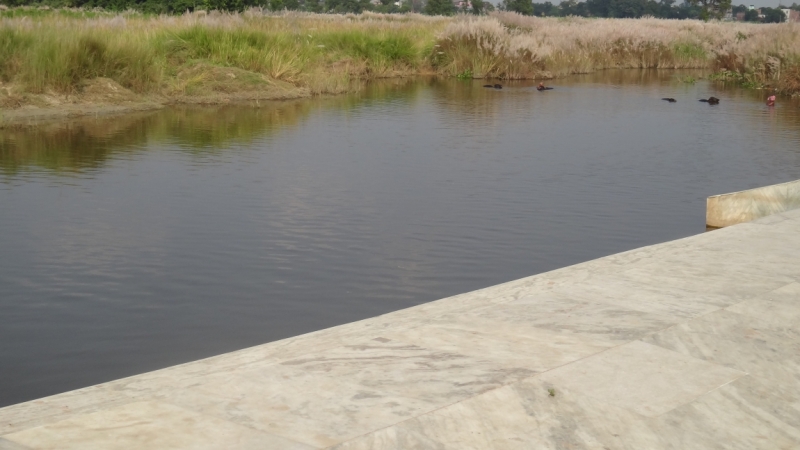 Экспресс-путешествие по северу Индии и Непалу (октябрь 2014)