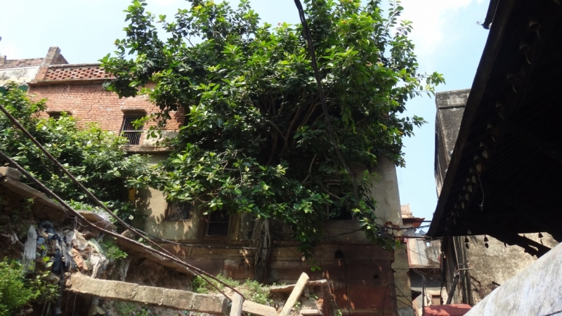 Экспресс-путешествие по северу Индии и Непалу (октябрь 2014)