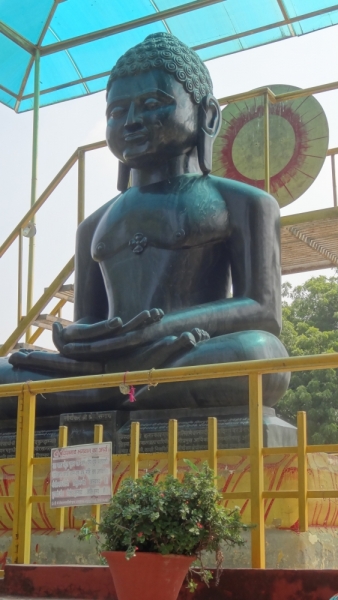 Экспресс-путешествие по северу Индии и Непалу (октябрь 2014)