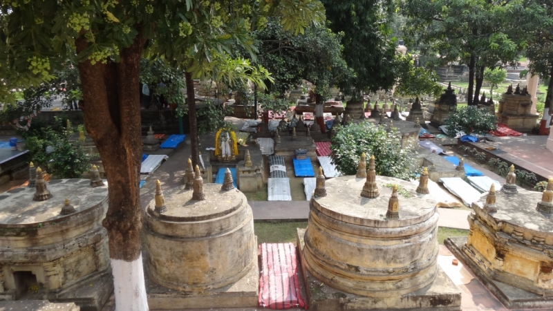 Экспресс-путешествие по северу Индии и Непалу (октябрь 2014)