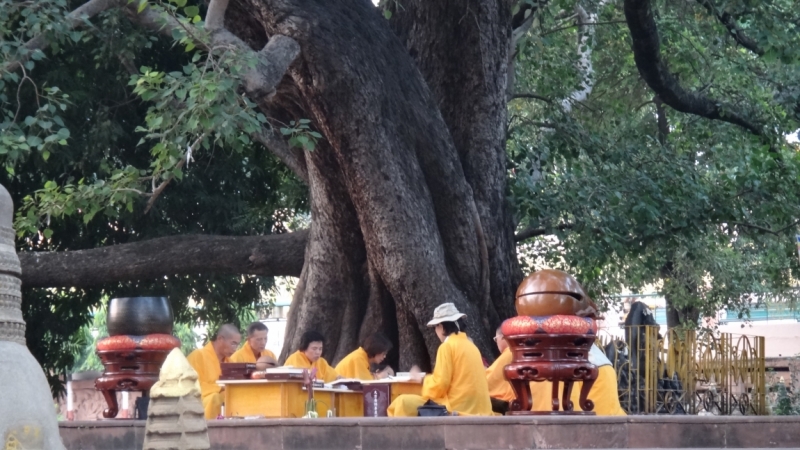 Экспресс-путешествие по северу Индии и Непалу (октябрь 2014)