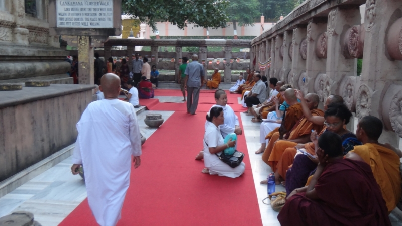 Экспресс-путешествие по северу Индии и Непалу (октябрь 2014)